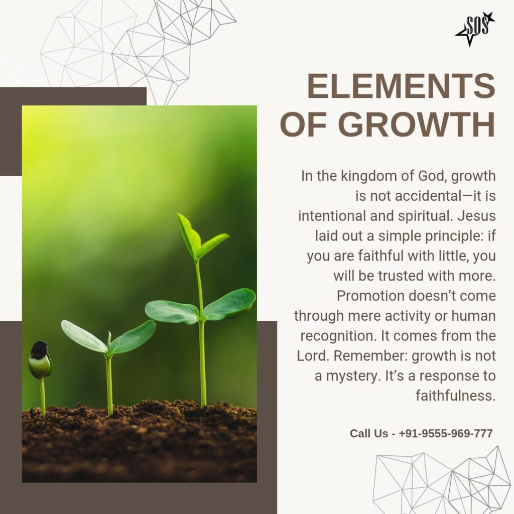 Three plant sprouts in soil symbolizing spiritual growth and faithfulness in God’s kingdom