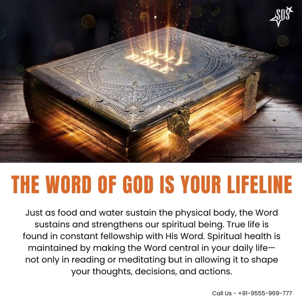 Holy Bible glowing with divine light representing the Word of God as a source of life