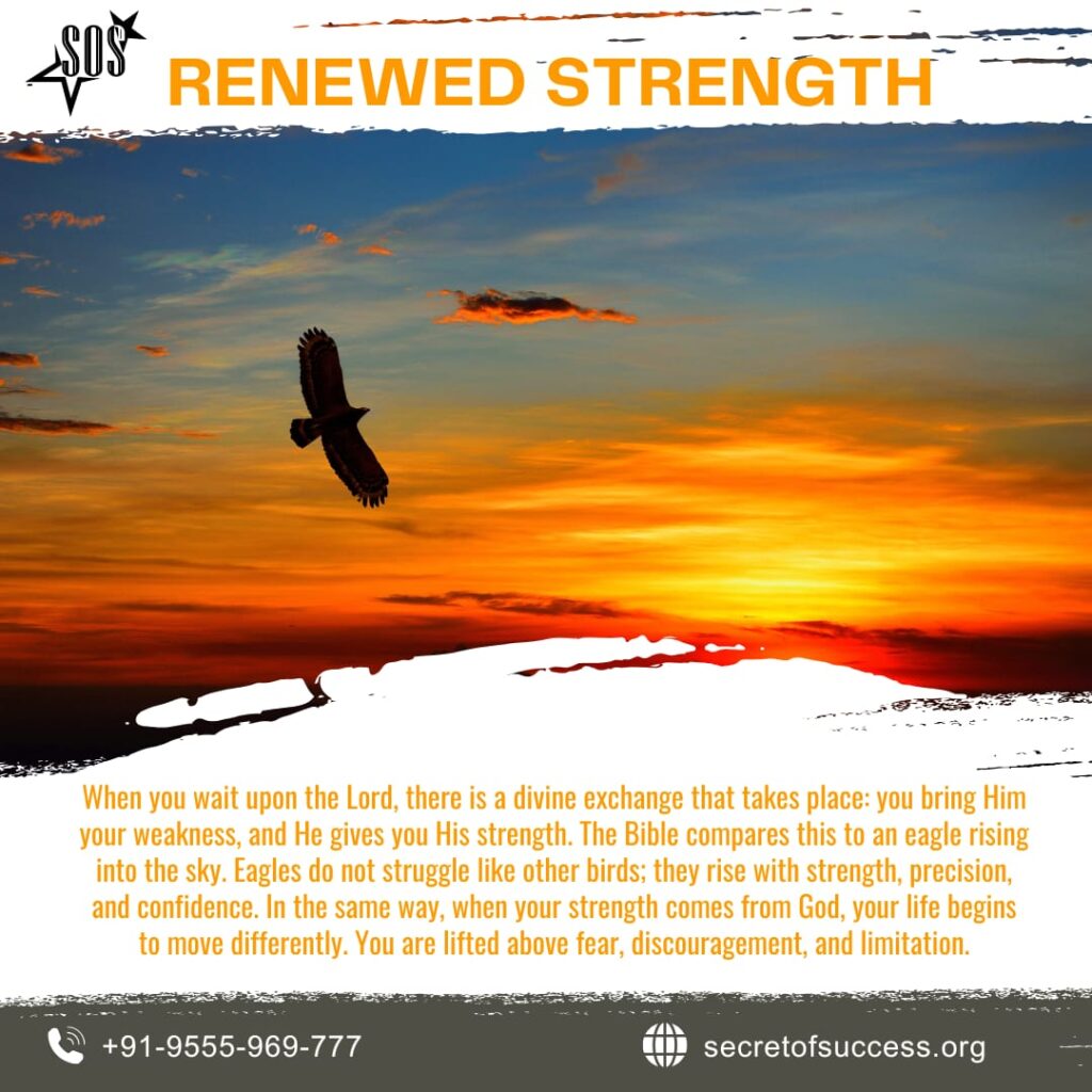 Eagle flying over a sunrise representing renewed strength and Isaiah 40:31 Christian devotional message.