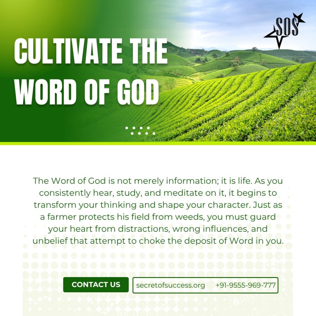 Green agricultural field representing spiritual growth with the message "Cultivate the Word of God" based on Matthew 13:23 about receiving God's Word in good soil and producing abundant fruit.