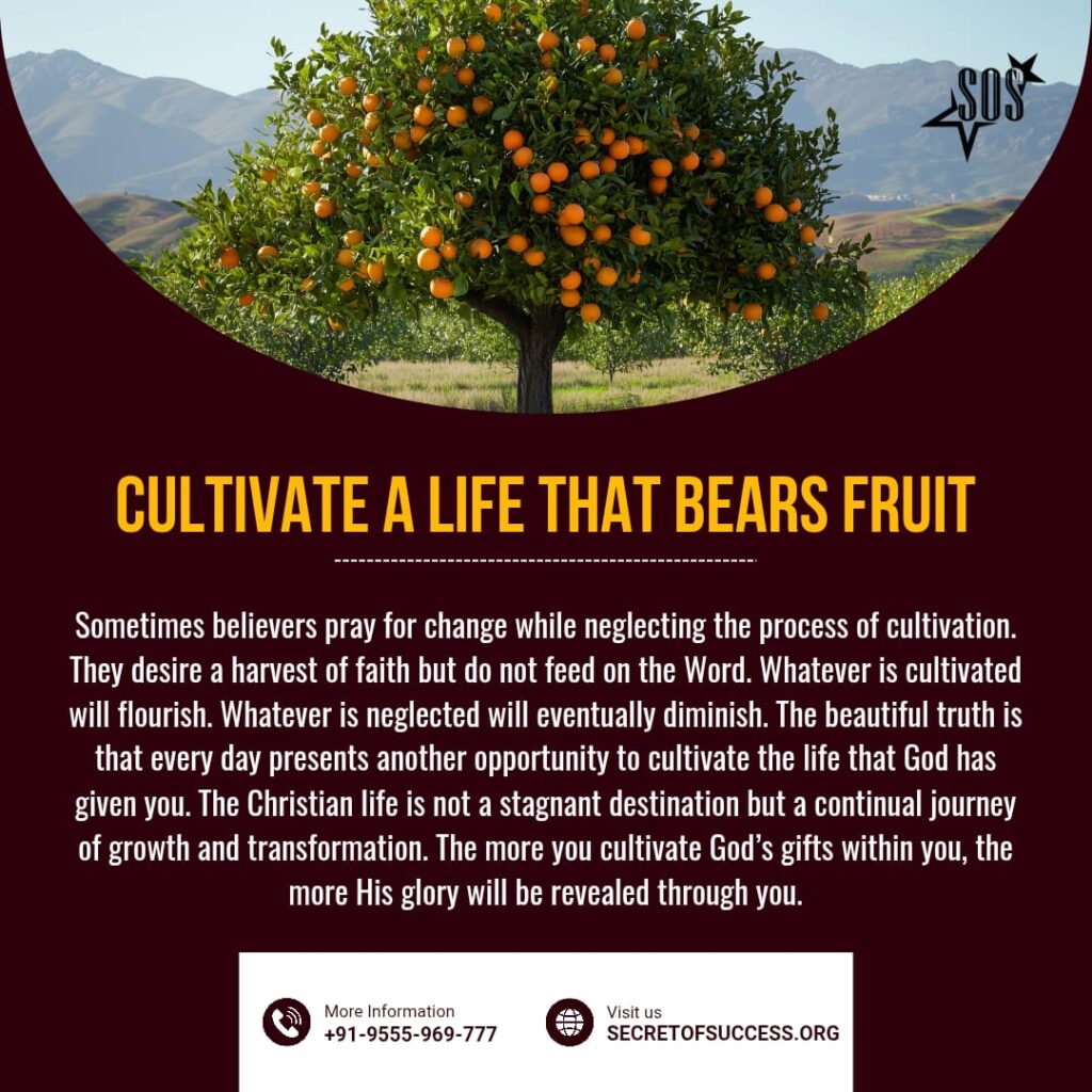 Fruit-bearing tree representing a fruitful Christian life based on John 15:8 with the title Cultivate a Life That Bears Fruit.