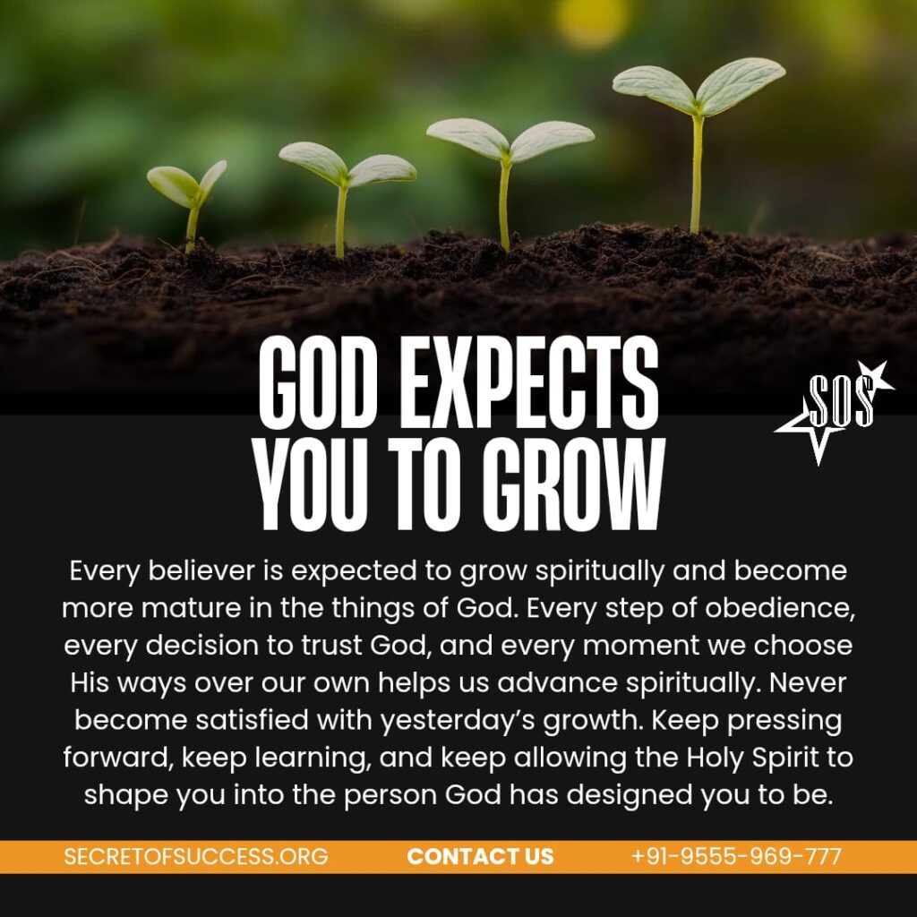 Seedlings growing from the soil representing spiritual growth in Christ based on 2 Peter 3:18.
